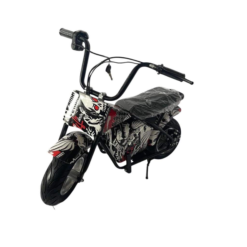 Moto electrica pro-move 350w 20km